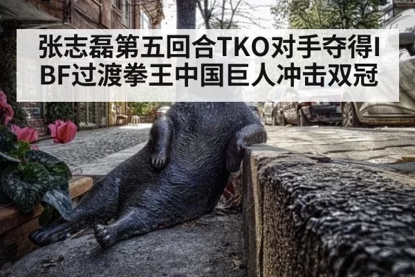 张志磊第五回合TKO对手夺得IBF过渡拳王中国巨人冲击双冠