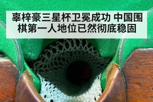 辜梓豪三星杯卫冕成功 中国围棋第一人地位已然彻底稳固